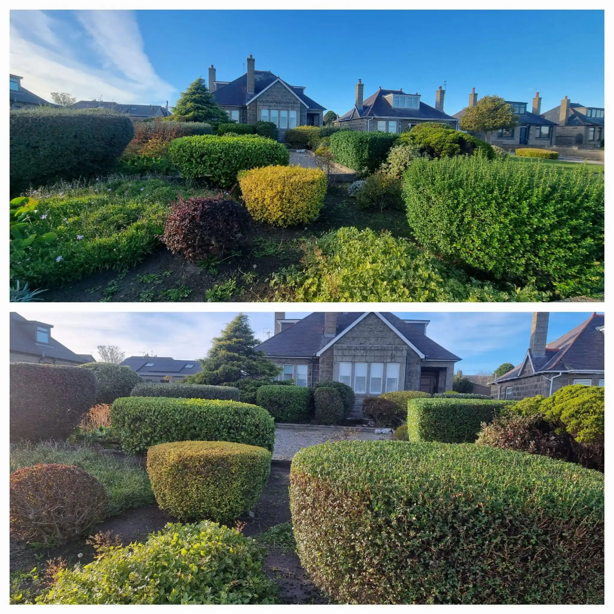 Pruning